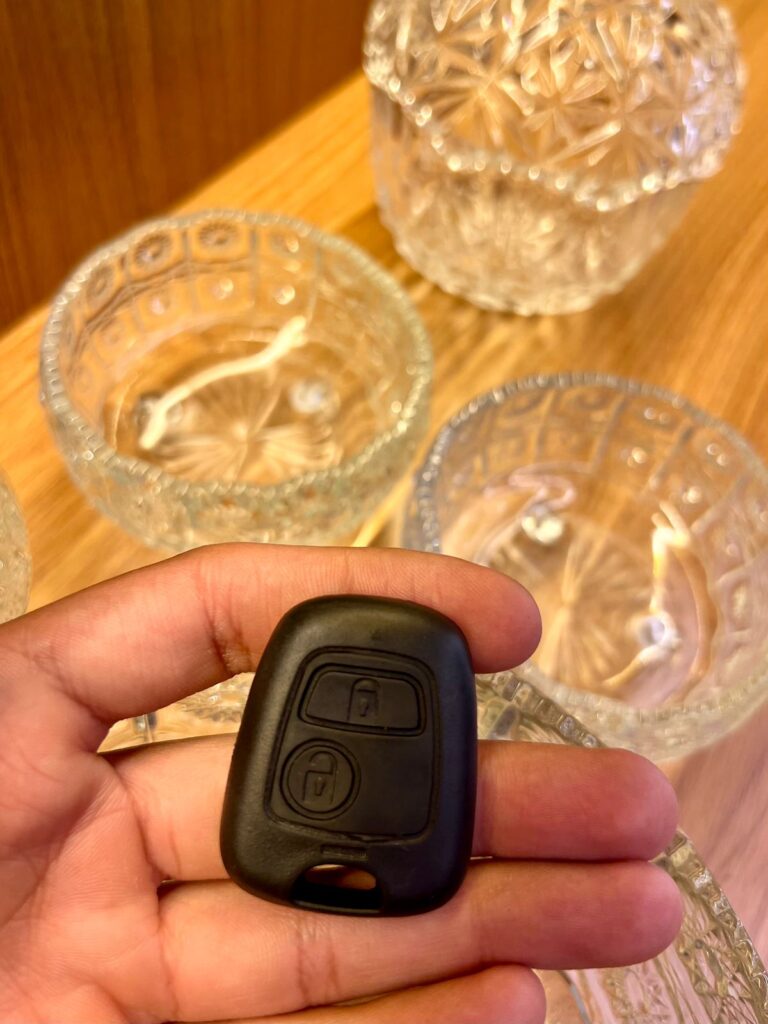 c8553861-d155-4945-9195-bda2e5a14065 (1)